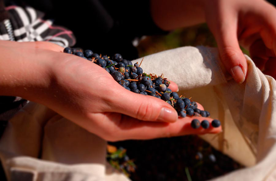 historia-dmb-02-destileria